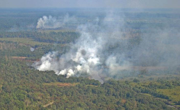 Aktivis Pertimbangkan Praperadilan SP3 Kasus Kebakaran Hutan