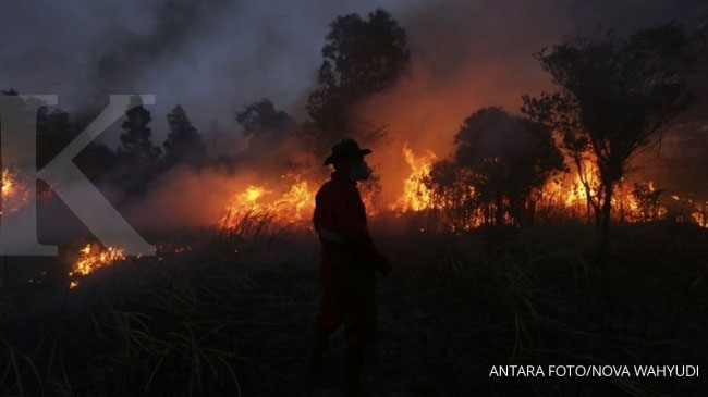 Jokowi: Hukum pelaku pembakar hutan tanpa pandang bulu